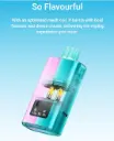 ELFBAR DUAL FLAVOURS SMOKING VAPE